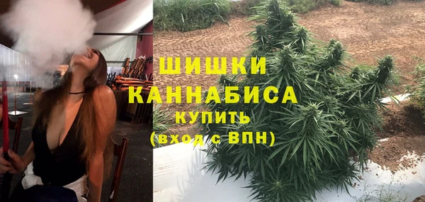 PSILOCYBIN Каменногорск