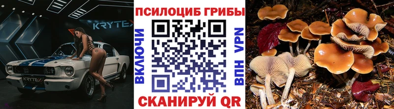 Галлюциногенные грибы мицелий  кракен зеркало  Теберда 